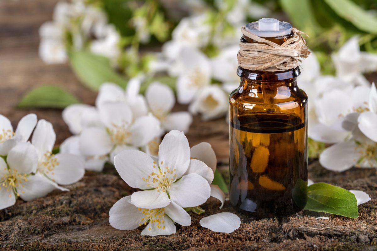 Jasmine Essential Oil the perfect scent for your Valentine