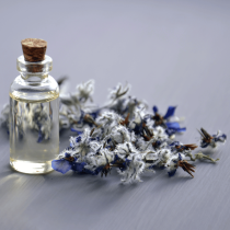 lavender